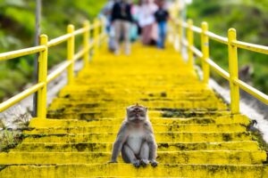 Indonesia's Bali